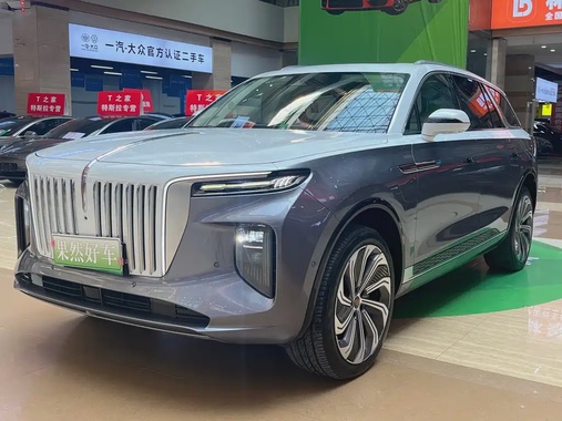 Hongqi E-HS9 2021