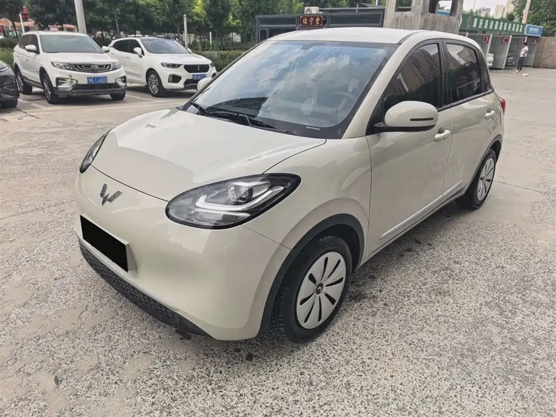 Wuling Bingo