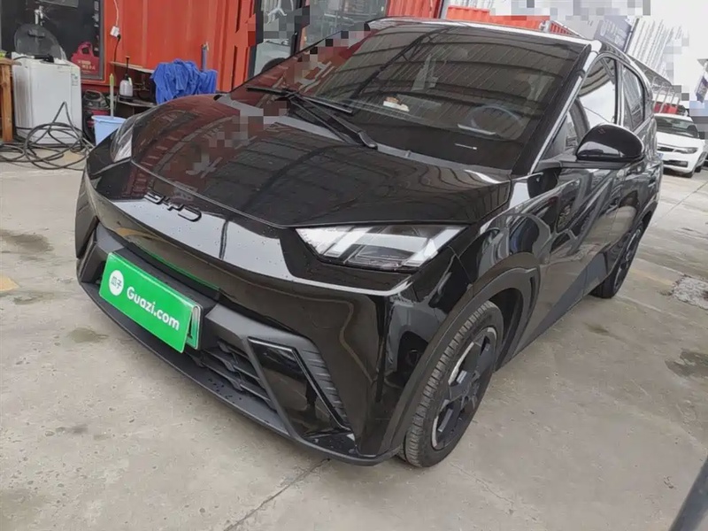 BYD Seagull