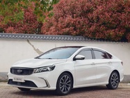 Geely Binrui 2021