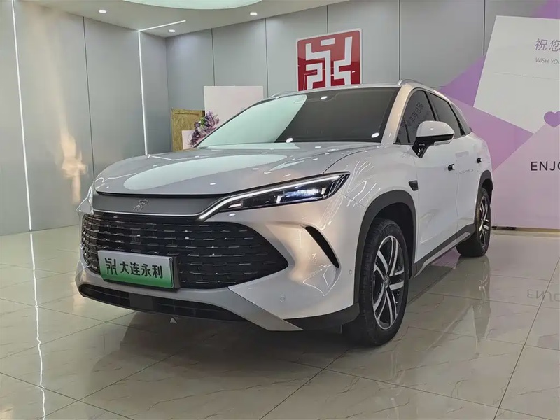 BYD L