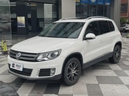Volkswagen Tiguan 2013