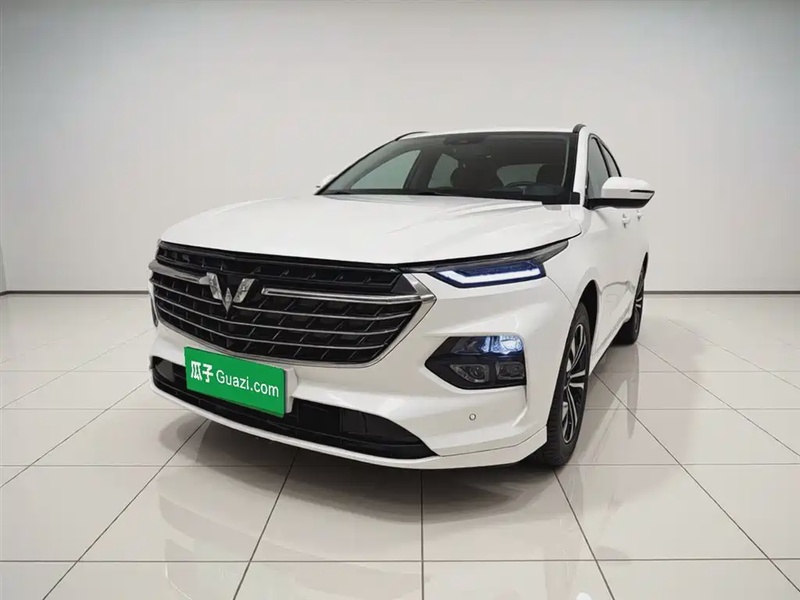 Wuling Victory