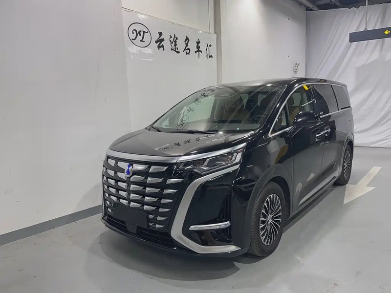 Denza D9
