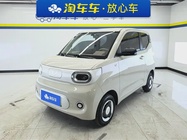 Wuling Mini 2024
