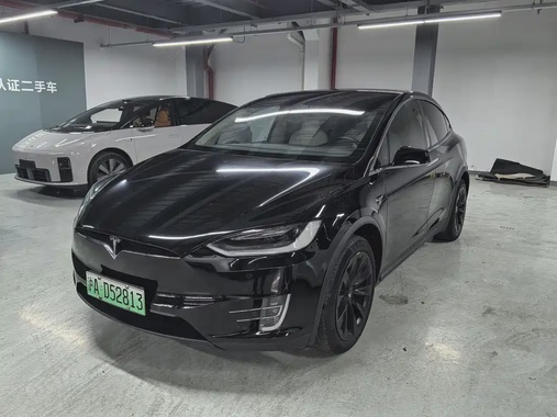Tesla Model X 2019