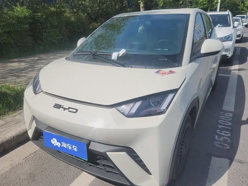 BYD Seagull 2024