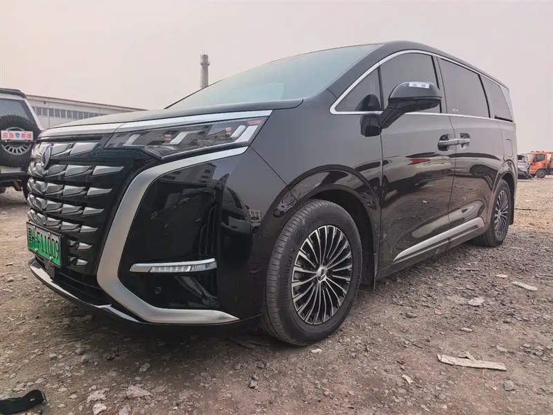 Denza D9