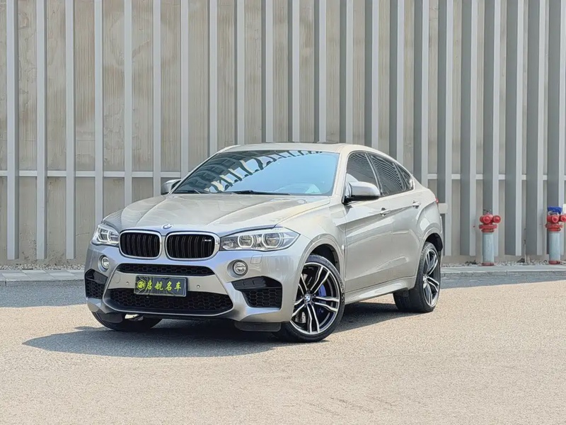 BMW X6M