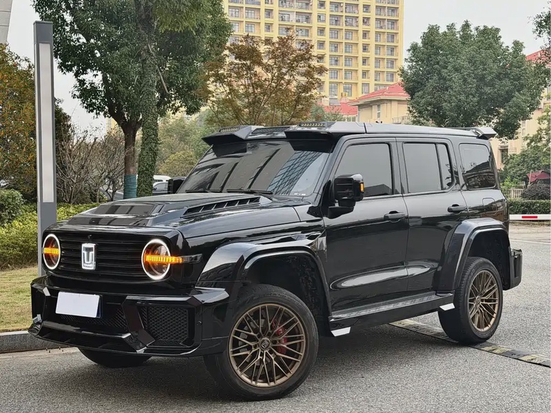 Tank 300