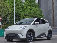 BYD Seagull 2024
