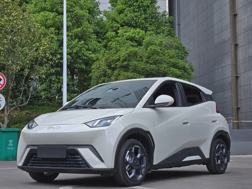 BYD Seagull 2024