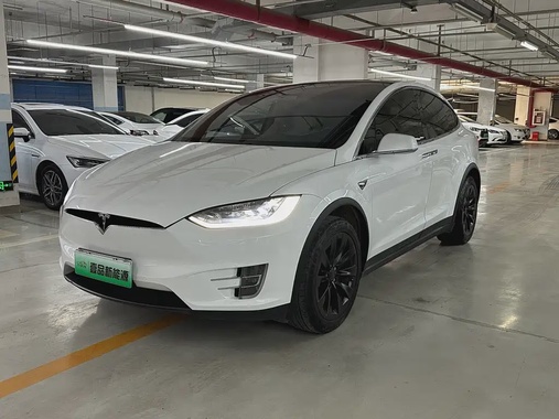 Tesla Model X 2019