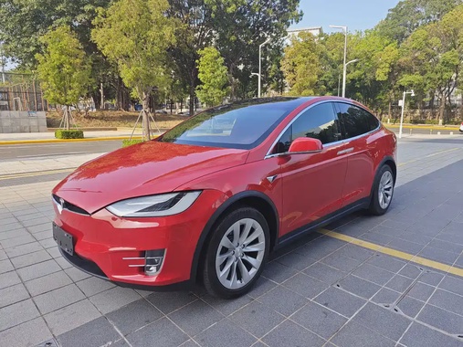 Tesla Model X 2019