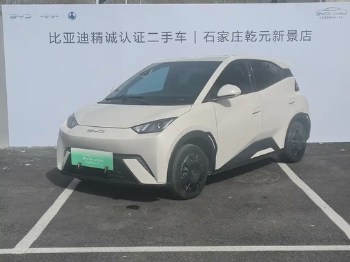 BYD Seagull 2024