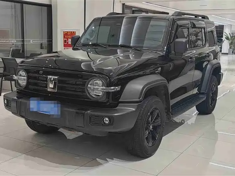 Tank 300