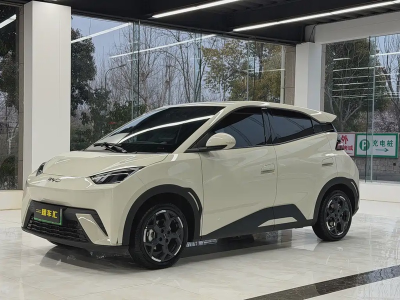 BYD Seagull