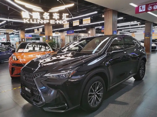 Lexus NX 2023