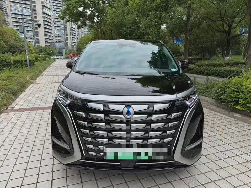 Denza D9