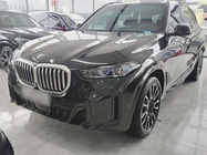 BMW X5 2025