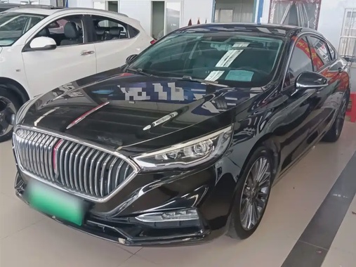 Hongqi H5 2021
