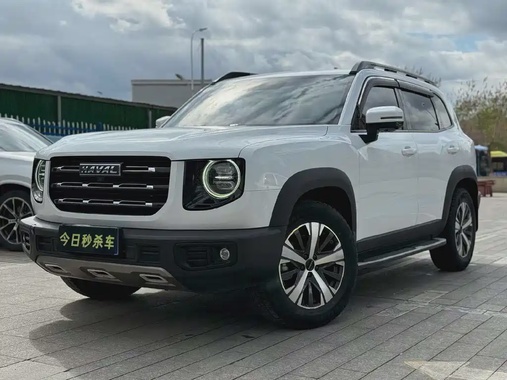 Haval Big Dog 2021