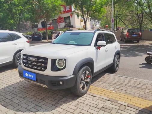Haval Big Dog 2022