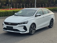 Geely Binrui 2026
