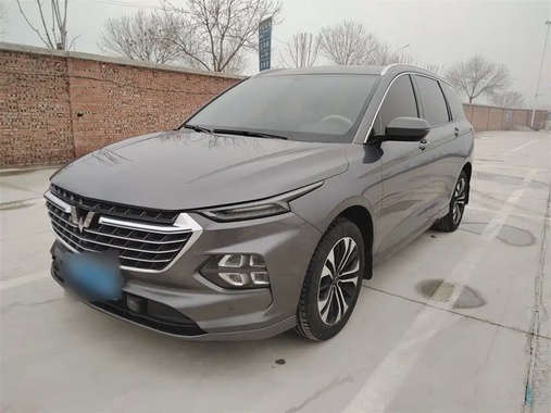 Wuling Victory 2021