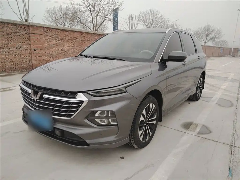 Wuling Victory