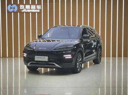BYD PLUS 2024
