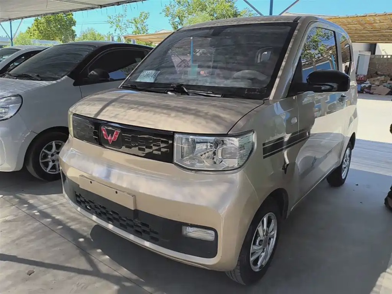 Wuling Mini