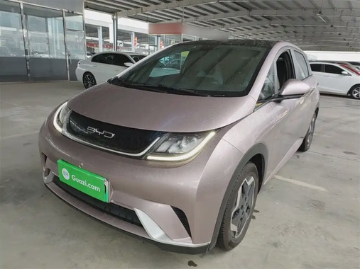 BYD Dolphin 2022