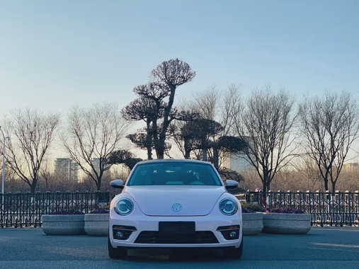 Volkswagen Beetle 2016