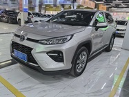 Toyota Wildlander 2021