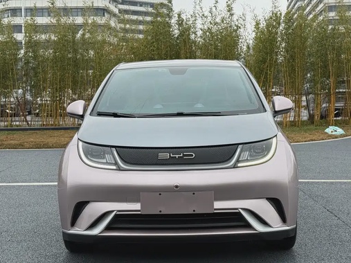 BYD Dolphin 2022