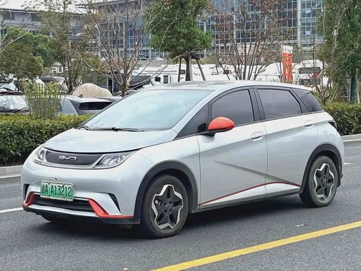 BYD Dolphin 2021