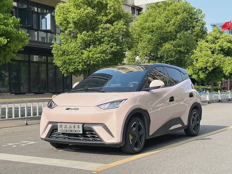 BYD Seagull