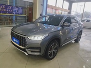BYD PLUS 2021