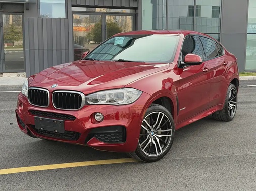 BMW X6 2019