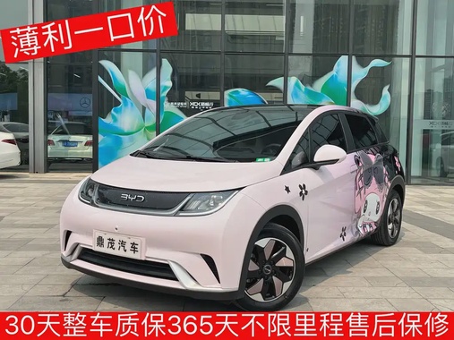 BYD Dolphin 2024