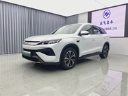 BYD Pro 2025