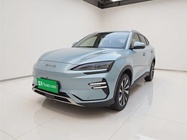 BYD PLUS 2024