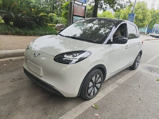 Wuling Bingo 2023
