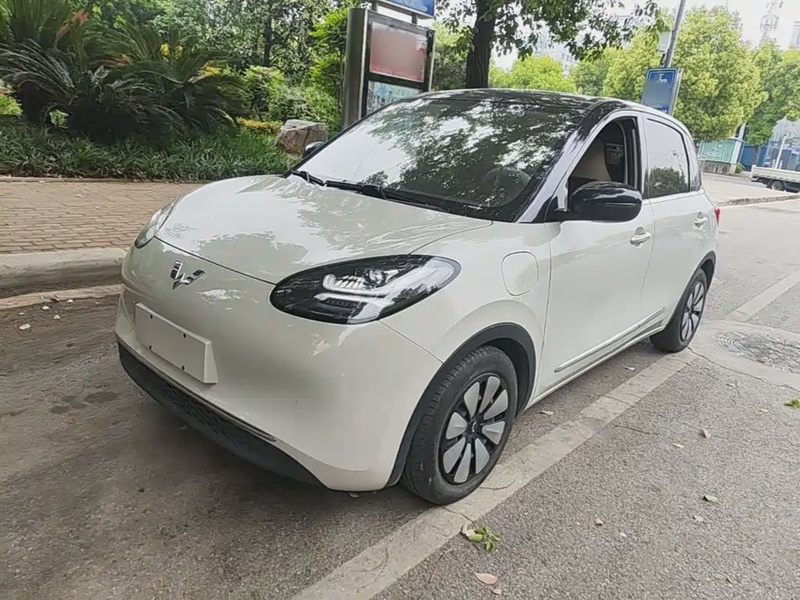 Wuling Bingo