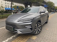 BYD PLUS 2024