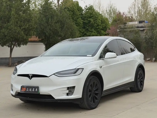 Tesla Model X 2019