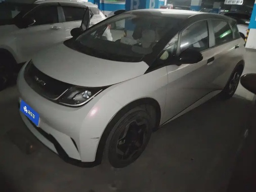BYD Dolphin 2022
