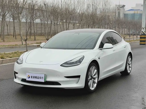 Tesla Model 3 2020