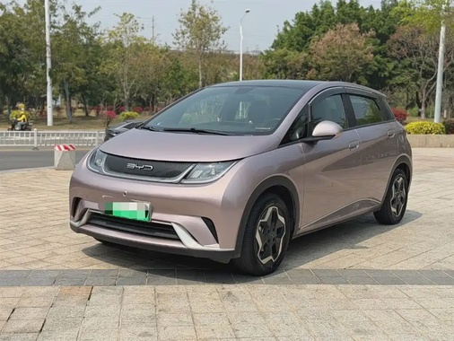 BYD Dolphin 2022